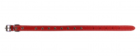 Zgarzi pentru Caini - Zgarda L1 1.6/40 cm - Ornament Rosu