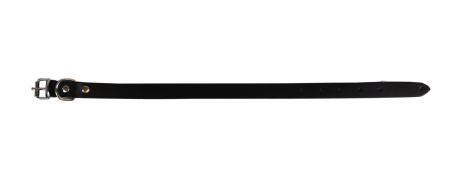 Zgarzi pentru Caini - Zgarda L1 1.6/40 cm - Simplu - Negru