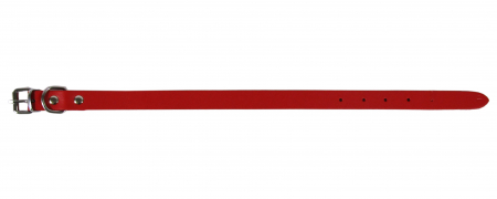 Zgarzi pentru Caini - Zgarda L1 1.6/40 cm - Simplu - Rosu