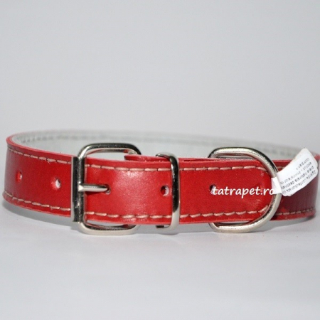 Zgarzi pentru Caini - Zgarda piele 2,0 cm/45 cm nr 2 rosu