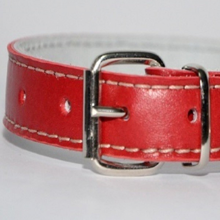 Zgarzi pentru Caini - Zgarda piele 2,3 cm/50 cm nr 3 rosu