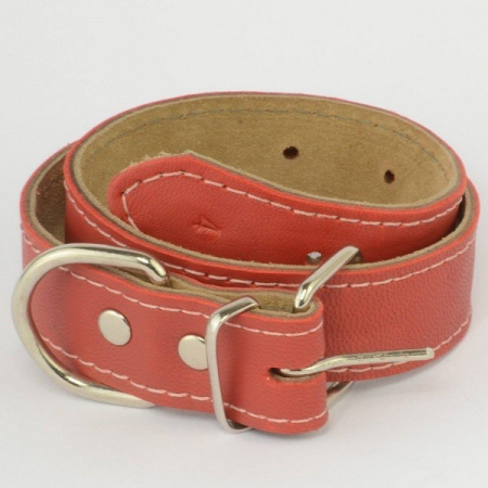 Zgarzi pentru Caini - Zgarda piele 3,0 cm/60 cm nr 4 rosu