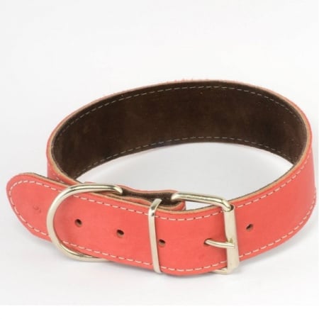 Accesorii pentru Caini - Zgarda piele 4,0 cm/65 cm nr 5 rosu