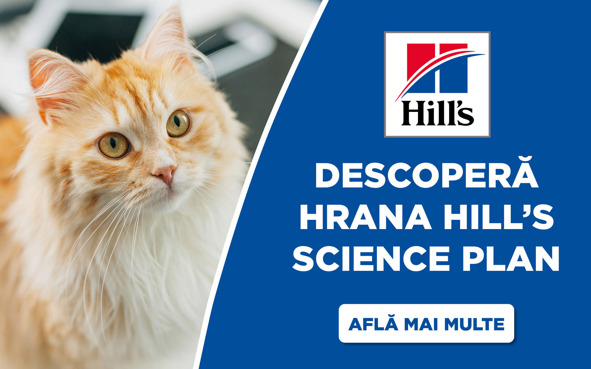 Hills mobile