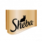 Sheba