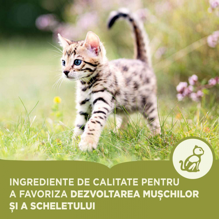 Acana Cat First Feast 1.8 Kg [4]
