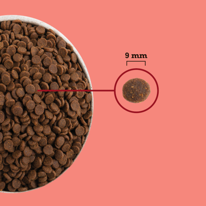 Acana Cat Highest Protein Indoor 4.5 Kg [3]