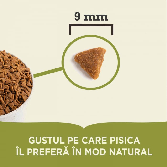 Acana Cat Indoor Entree 1.8 Kg [4]