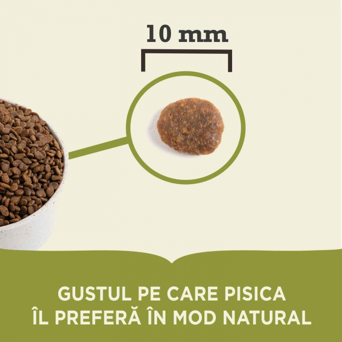 Acana Pacifica Cat [4]