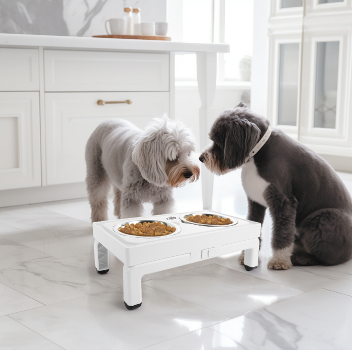 All for Paws Adjustable Double Feeder cu Doua Boluri 2x750 ML [9]