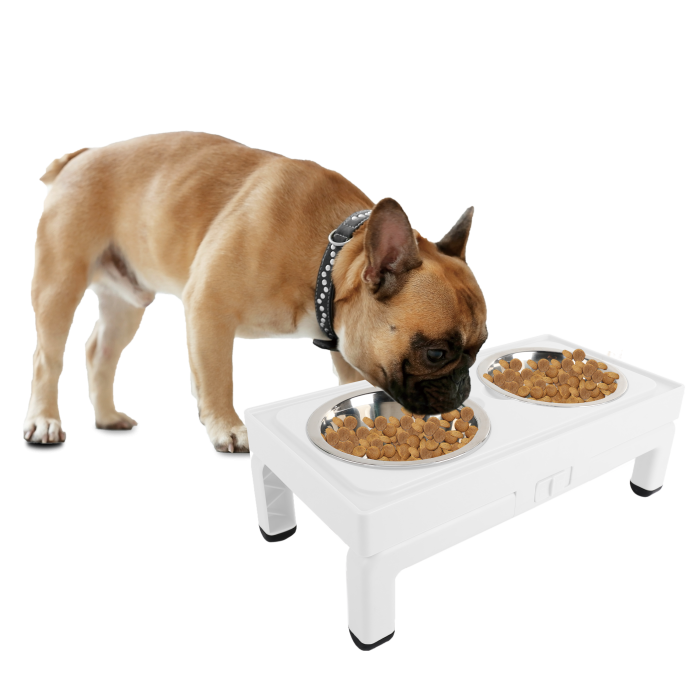 All for Paws Adjustable Double Feeder cu Doua Boluri 2x750 ML [6]