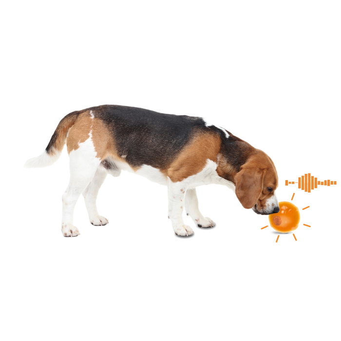 All for Paws Anti Anxiety Speaking Ball pentru Caini [6]