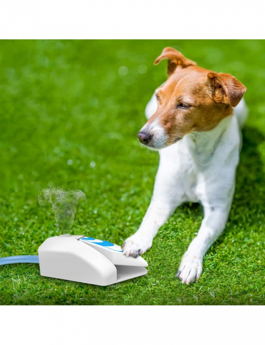 All for Paws Fantana de Gradina pentru Caini [2]
