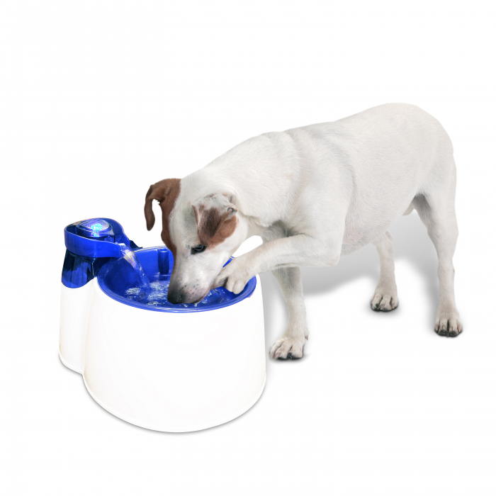 All for Paws Fantana pentru Caini [2]