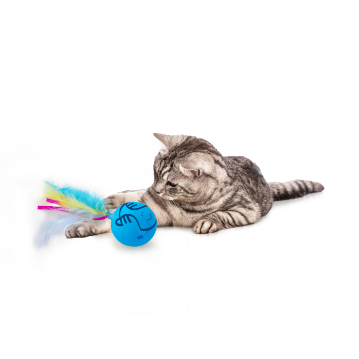 All for Paws Jucarie Dizzy Spinner pentru Pisici [4]