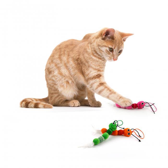 All for paws Jucarie Feather Snake pentru Pisici [4]
