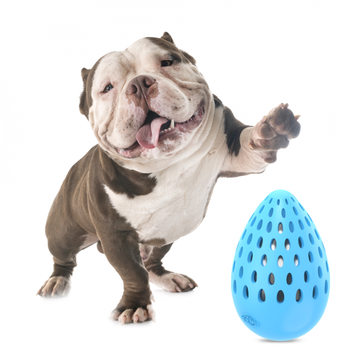 All for paws Jucarie Ou Holey Indestructibil M [4]