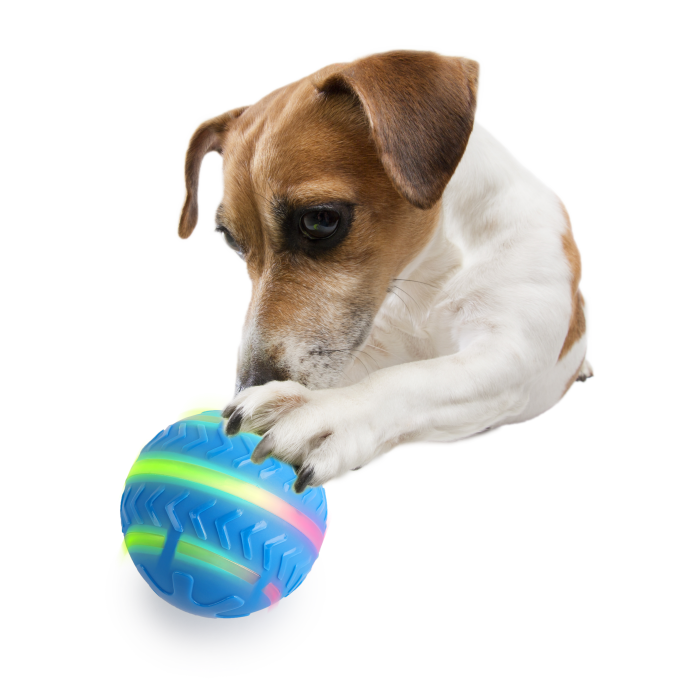 All for Paws Minge Interactiva Motion Activated pentru Caini [2]