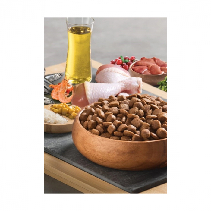 BonaCibo Adult Chicken&Rice with Anchovy Cat Mostra 100 G [4]