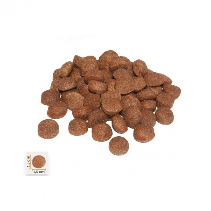BonaCibo Adult High Energy Dog Mostra [2]