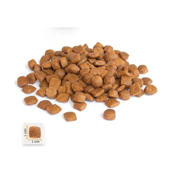 BonaCibo Adult Lamb&Rice Cat Mostra [2]