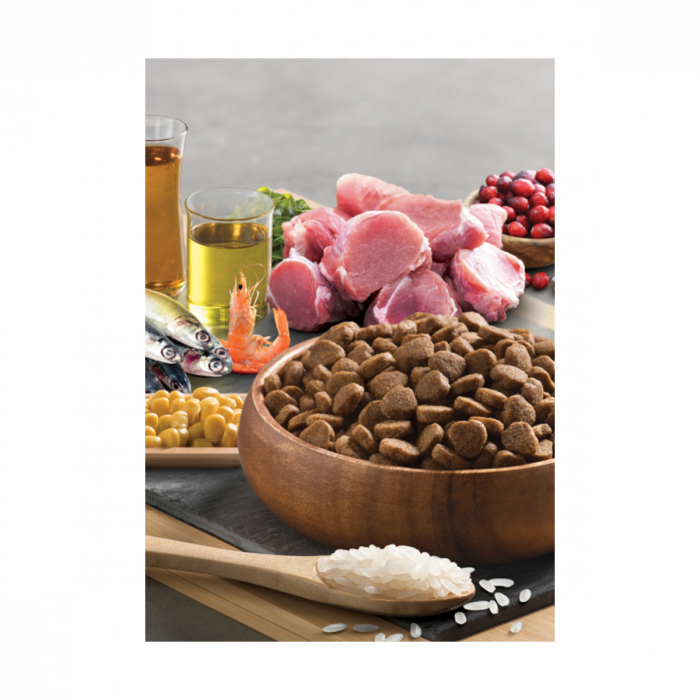 BonaCibo Adult Lamb&Rice Cat Mostra [3]