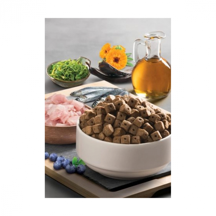 BonaCibo Adult/Senior/Over Weight Chicken Dog Mostra [3]