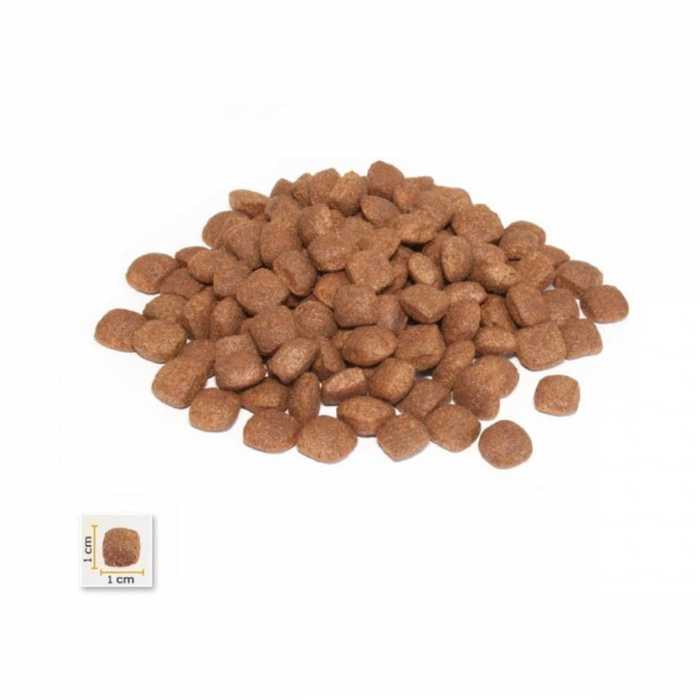 BonaCibo Puppy Lamb&Rice Dog Mostra [2]