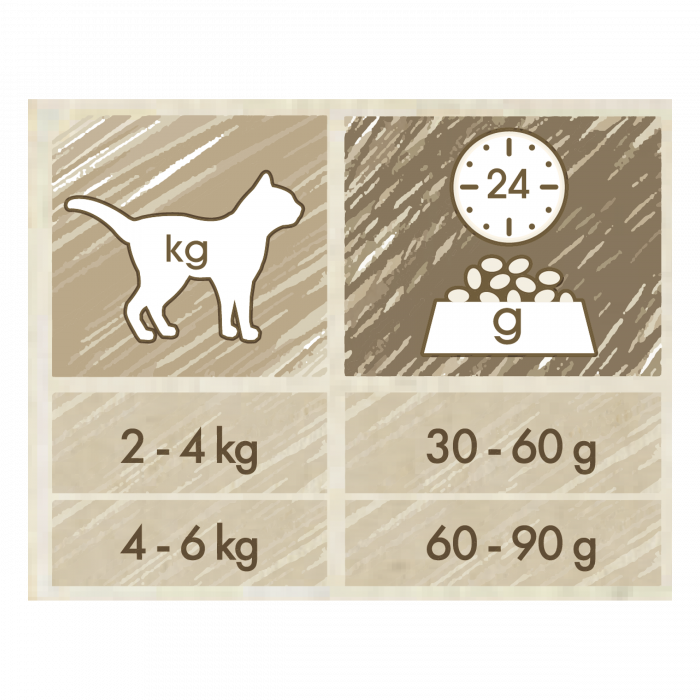 Cat Chow Adult Somon [4]