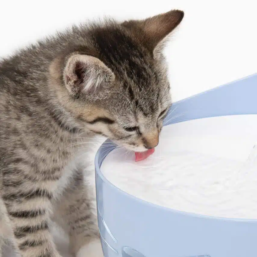 Catit Pixi Fantana pentru Pisici 2.5 L [5]