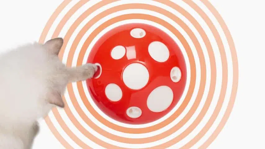 Catit Pixi Jucarie Dinamica Senses Mushroom pentru Pisici [4]