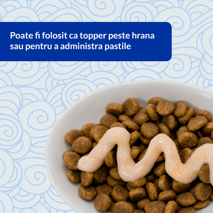 Churu Cat Varieties Recompense Cremoase cu Ton 20 buc [4]
