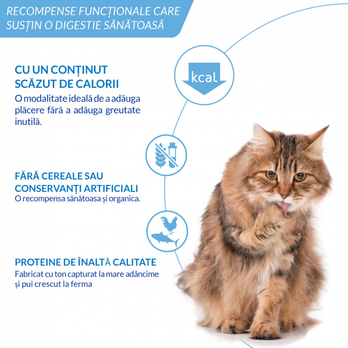 Ciao Churu Hairball Control Recompensa Cremoasa cu Somon 4x14 Gr [7]
