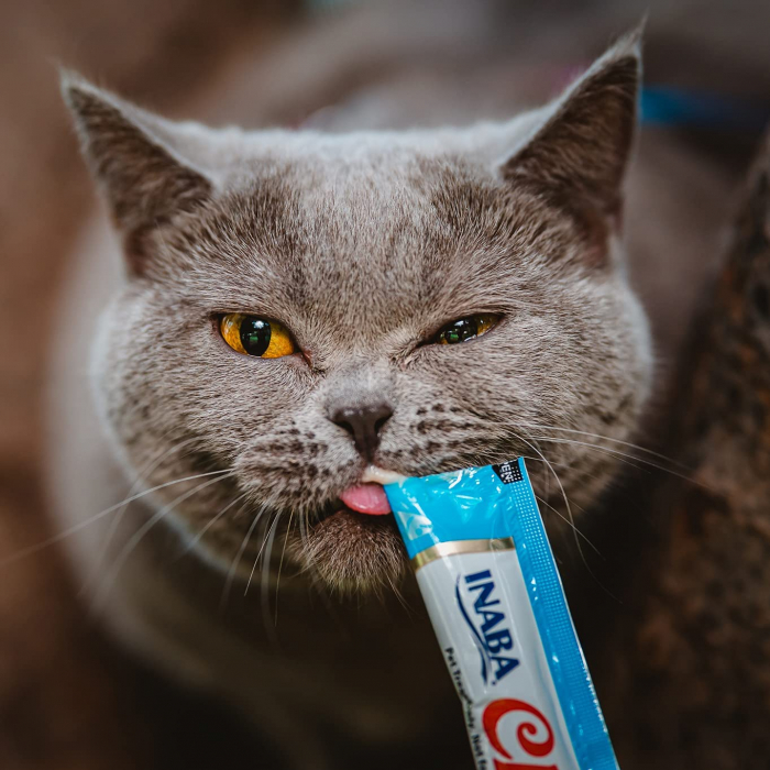 Churu Recompensa Cremoasa cu Pui si Creveti [5]