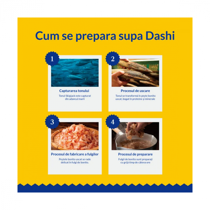 Ciao Dashi Delights Delicate Flakes Reteta cu Pui si Somon [7]