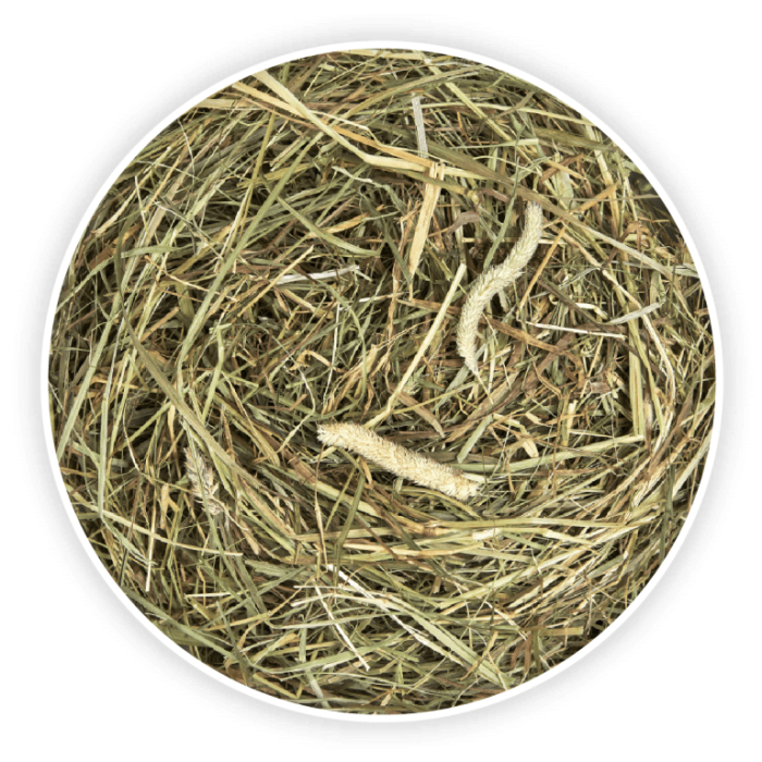 Cunipic Naturaliss Timothy Fan pentru Rozatoare 500 Gr [3]