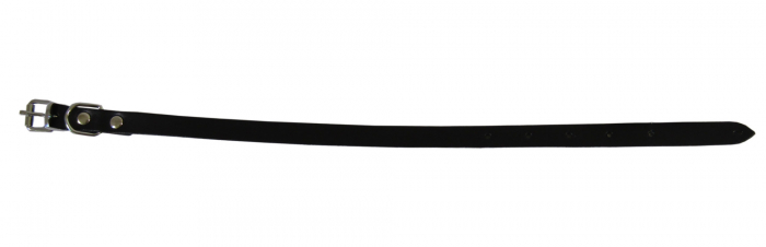 exotic-k-zgarda-caini-l4 [1]
