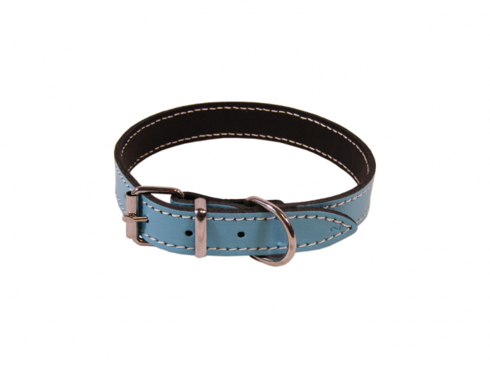exotic-k-zgarda-caini-l4 [1]