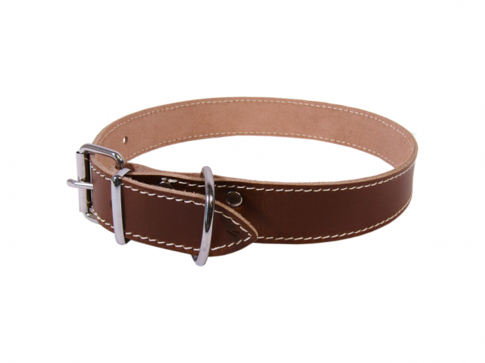 exotic-k-zgarda-caini-l4 [1]