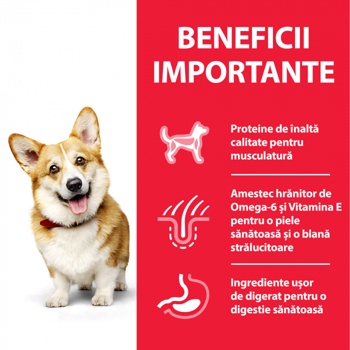 Hill's Science Canine Adult Small&Mini with Chicken [6]