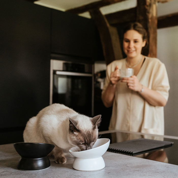 Hunter Bol Langa din Ceramica pentru Pisici 14 Cm [3]