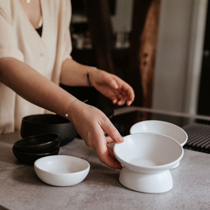 Hunter Bol Langa din Ceramica pentru Pisici 14 Cm [6]