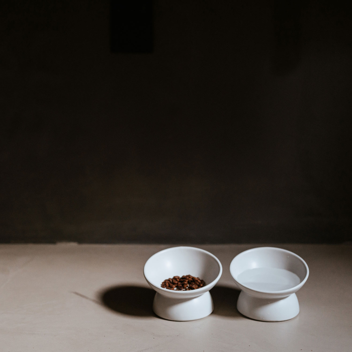 Hunter Bol Langa din Ceramica pentru Pisici 14 Cm [4]