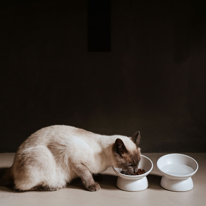 Hunter Bol Langa din Ceramica pentru Pisici 14 Cm [5]