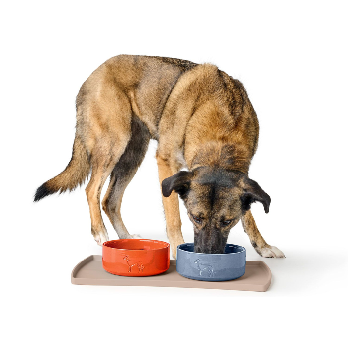 Hunter Bol Osby Glazed din Ceramica 550 ML [6]