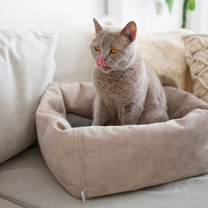 Hunter Culcus Bed Cat Dreamie S 40x40Cm [8]