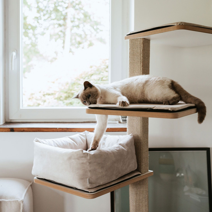 Hunter Culcus Bed Cat Dreamie S 40x40Cm [7]