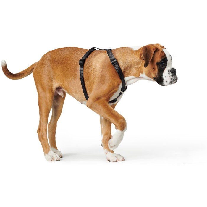 Hunter Ham Ecco Sport Vario Rapid S-M [4]