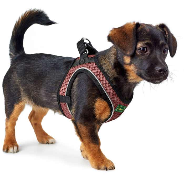 Hunter Ham Hilo Confort S-M [5]