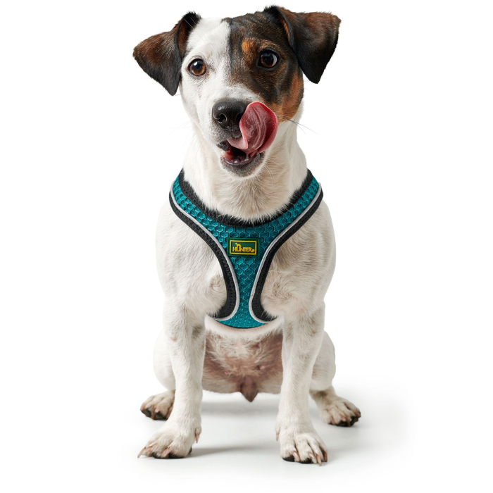 Hunter Ham Hilo Confort XS-S [6]